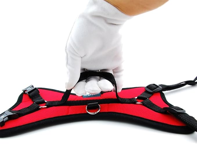 Pet Dog Vest Breathable Mesh Collar Accessories Dog Padding Adjustable Seat Belt Suitable for Medium and Large Dogs (C L)