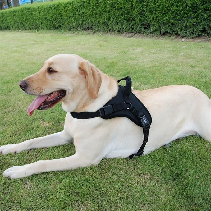 Pet Dog Vest Breathable Mesh Collar Accessories Dog Padding Adjustable Seat Belt Suitable for Medium and Large Dogs (C L)