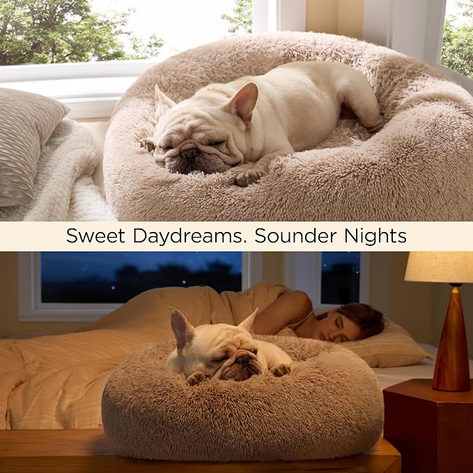 Bedsure Calming Small Dog Bed Donut Washable Cat＆Puppy Bed,23 inches Camel | Oprah Daily Award,Fluffy Faux Fur Round Cuddler,Anti-Slip Bottom,Anti-Anxiety...